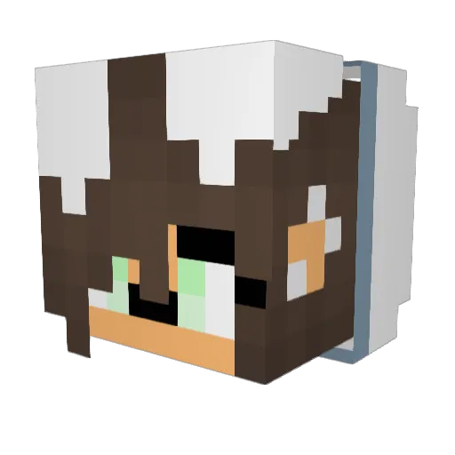 Viki555 Minecraft avatar head, 3D render