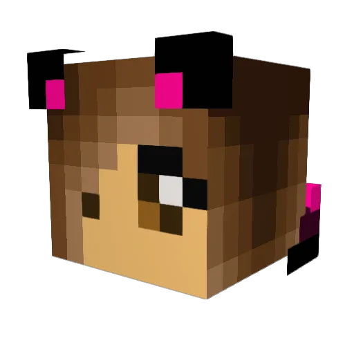 VikiSkipper Minecraft avatar head, 3D render