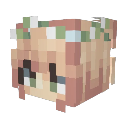 VikingEmber Minecraft avatar head, 3D render