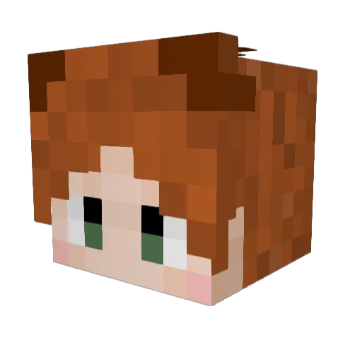 VikingFrog12 Minecraft avatar head, 3D render