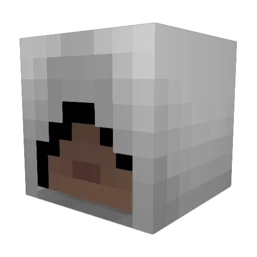 VikingRav Minecraft avatar head, 3D render