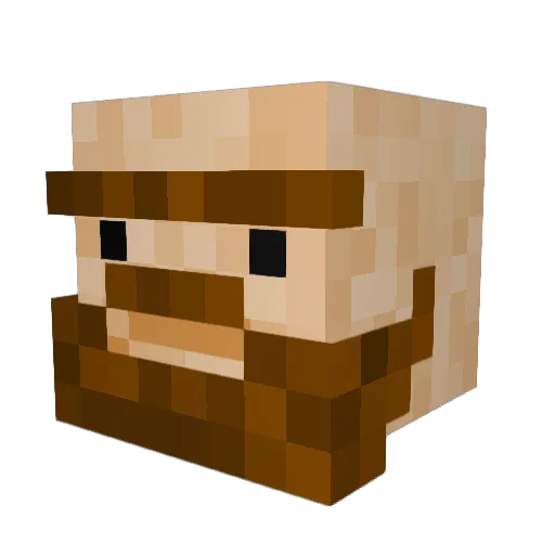 VikingSavage Minecraft avatar head, 3D render
