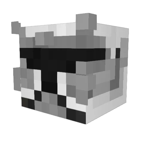 Viking_Prince1 Minecraft avatar head, 3D render