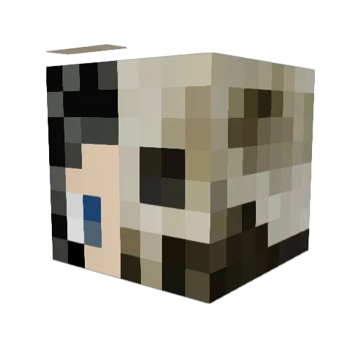 Vikingbloodeagle Minecraft avatar head, 3D render