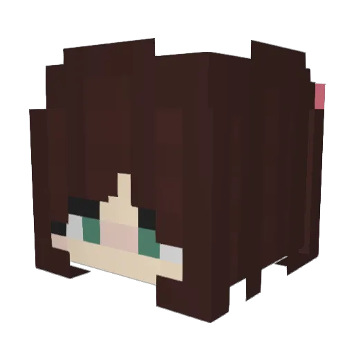 Viks_ks_ks Minecraft avatar head, 3D render