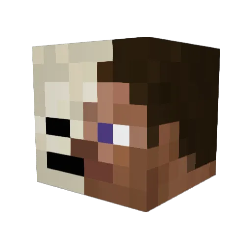 VikyVlad Minecraft avatar head, 3D render