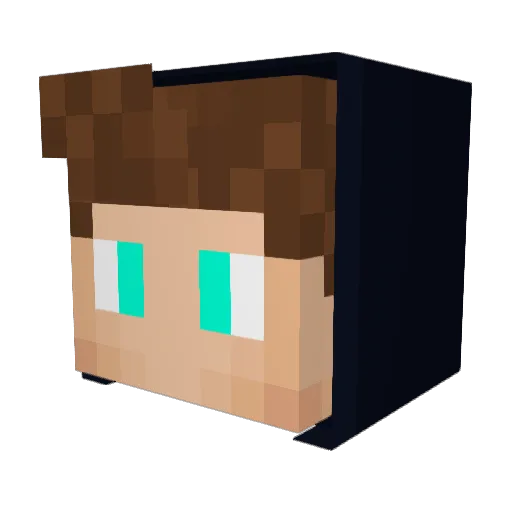 Vilaridas Minecraft avatar head, 3D render