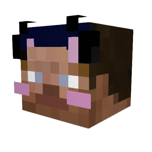 Vilbob10 Minecraft avatar head, 3D render