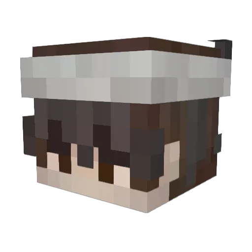 Vilbussen Minecraft avatar head, 3D render