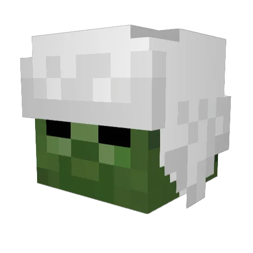 VileHorror Minecraft avatar head, 3D render