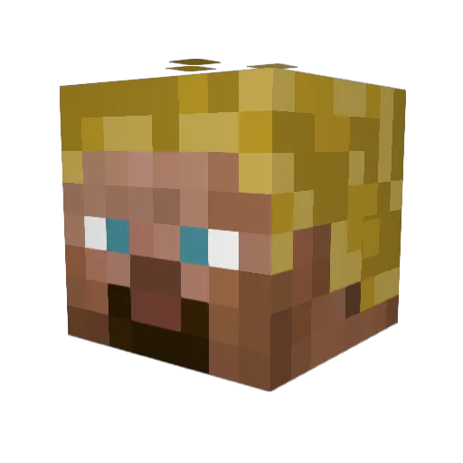 VileThingy Minecraft avatar head, 3D render