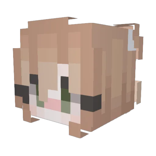 Vilern Minecraft avatar head, 3D render