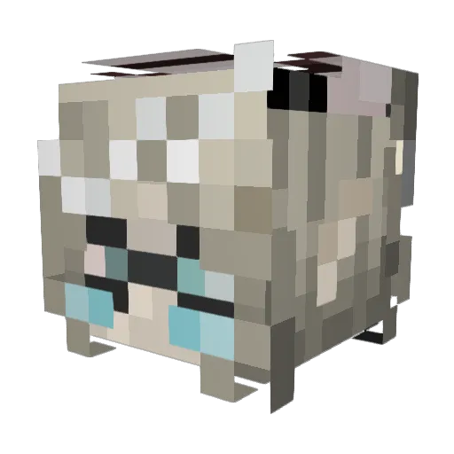 Viliclaim Minecraft avatar head, 3D render