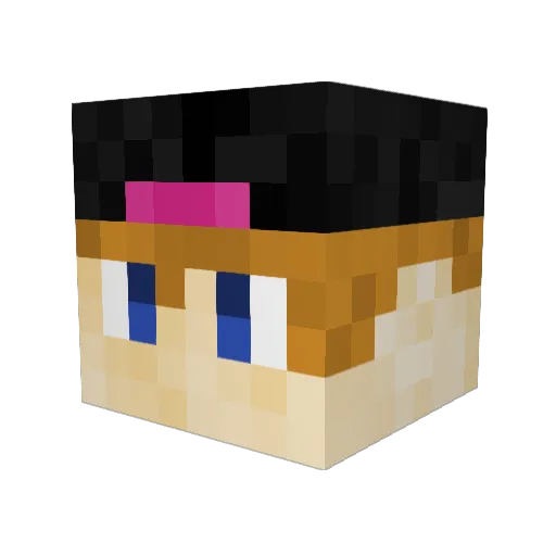 Viljo_29 Minecraft avatar head, 3D render
