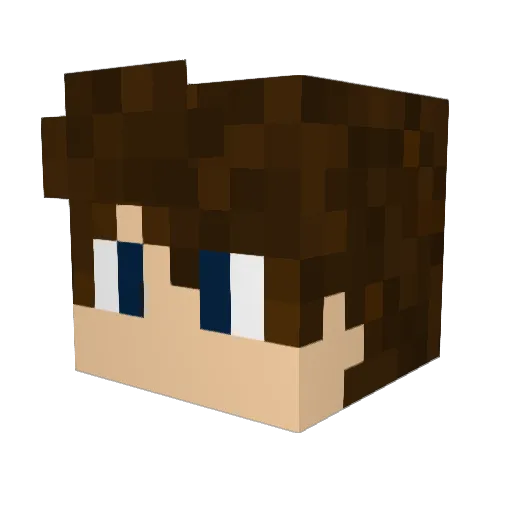 Vill03 Minecraft avatar head, 3D render