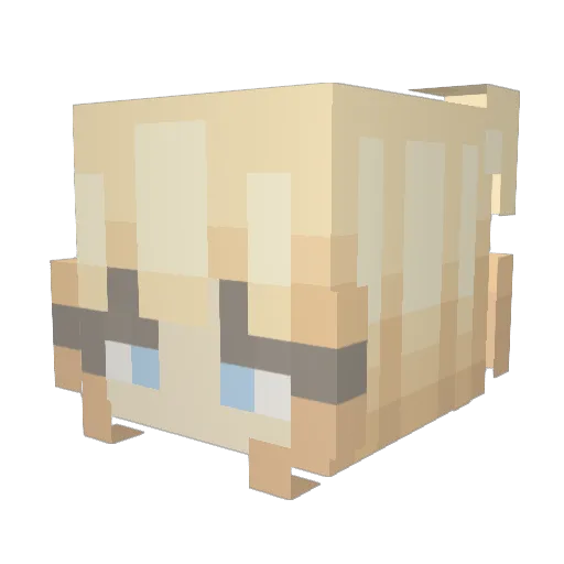 VillaElisa Minecraft avatar head, 3D render