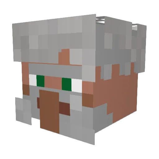 VillageJohnson Minecraft avatar head, 3D render