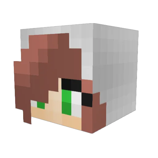 Village_Fool Minecraft avatar head, 3D render