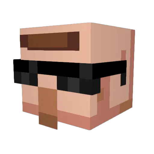 Villager007 Minecraft avatar head, 3D render