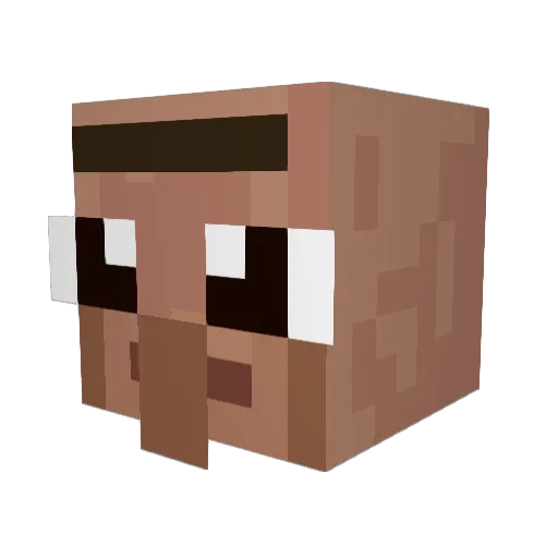 Villager06 Minecraft avatar head, 3D render