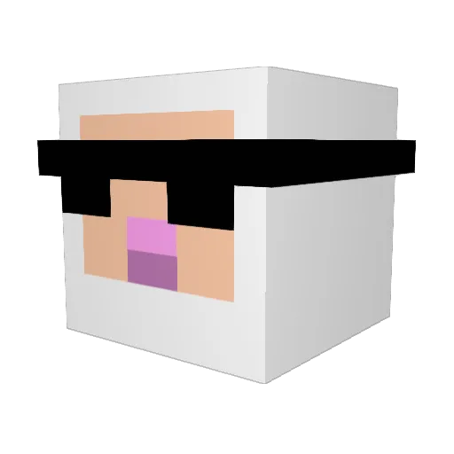 Villager672 Minecraft avatar head, 3D render