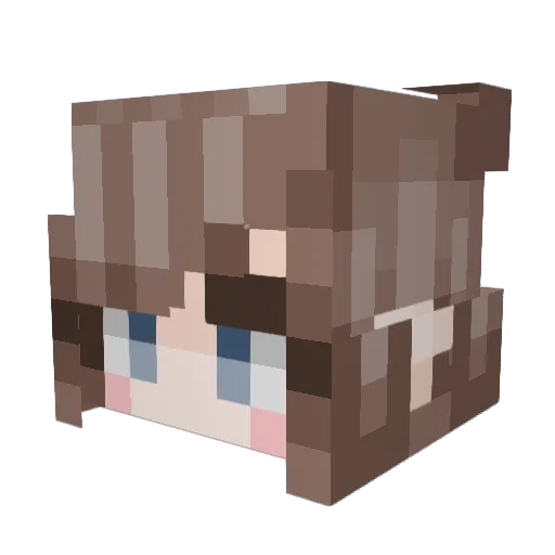 VillagerManMan Minecraft avatar head, 3D render