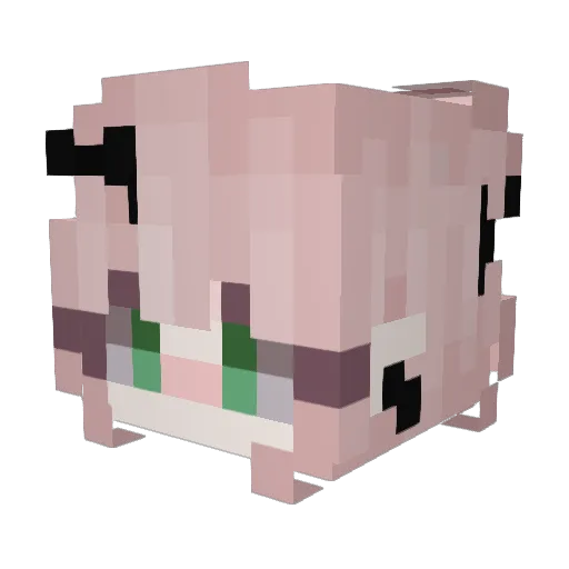 VillagerNoise_ Minecraft avatar head, 3D render