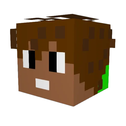 VillagerRinaldo Minecraft avatar head, 3D render