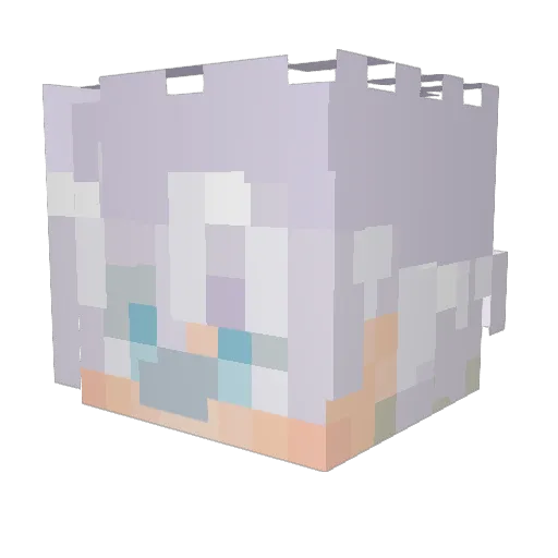 Villager_Dude Minecraft avatar head, 3D render