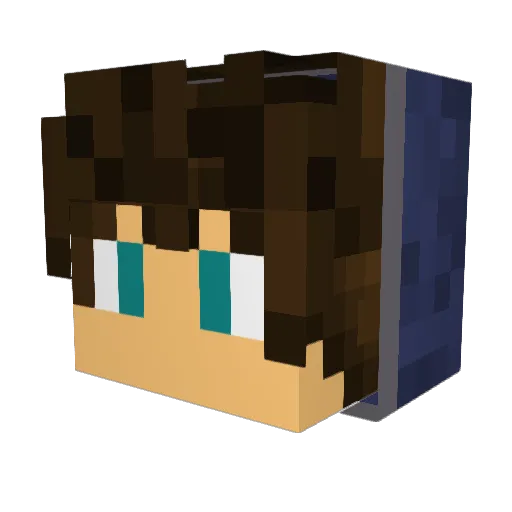 VilleonYT Minecraft avatar head, 3D render