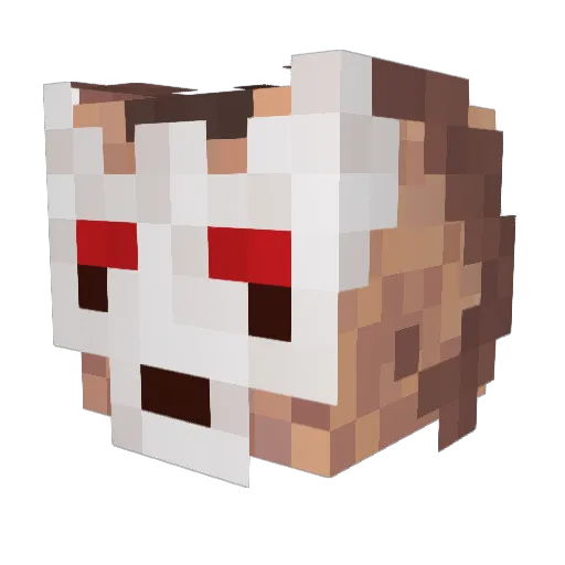 VilliVesilla Minecraft avatar head, 3D render