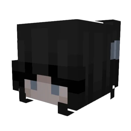 Villinex Minecraft avatar head, 3D render