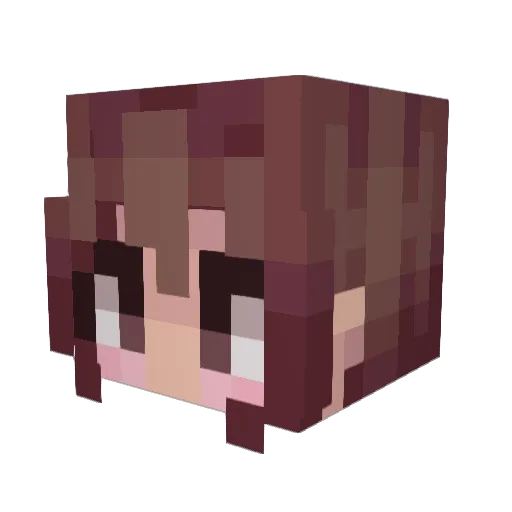 Villith Minecraft avatar head, 3D render