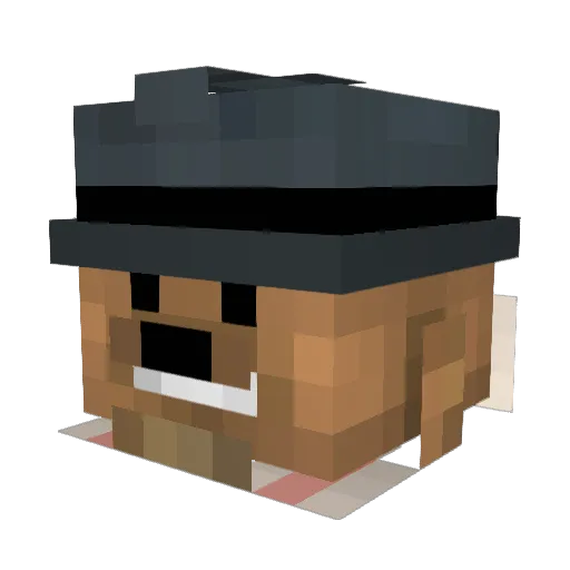 Villler Minecraft avatar head, 3D render