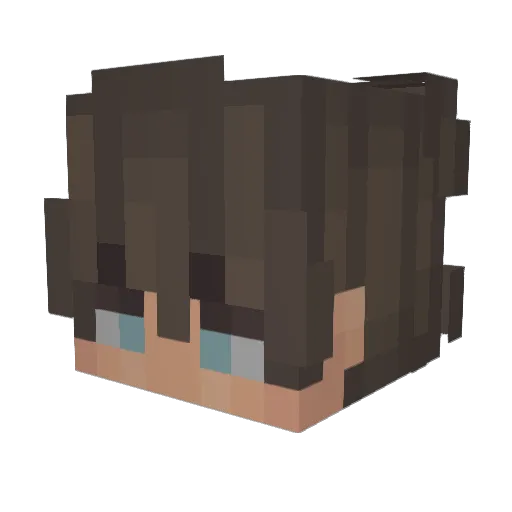 Villonis Minecraft avatar head, 3D render