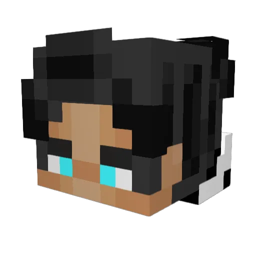 Vills_ Minecraft avatar head, 3D render