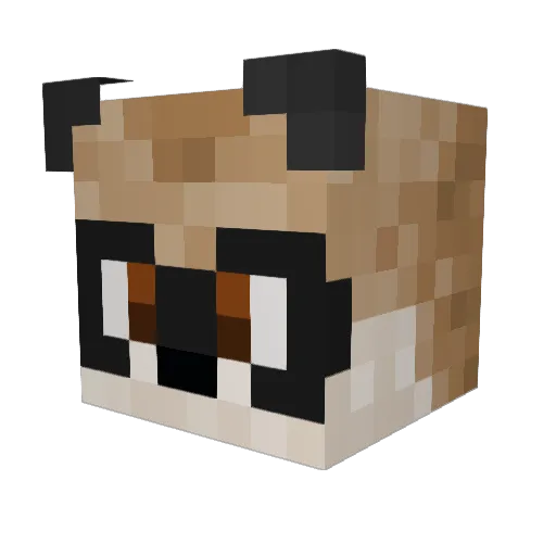 Villusha Minecraft avatar head, 3D render