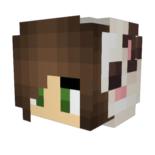 Vilmandia Minecraft avatar head, 3D render