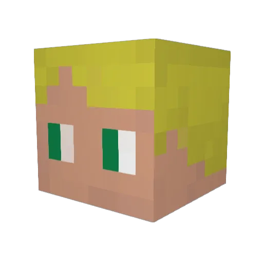 Vilmer360 Minecraft avatar head, 3D render