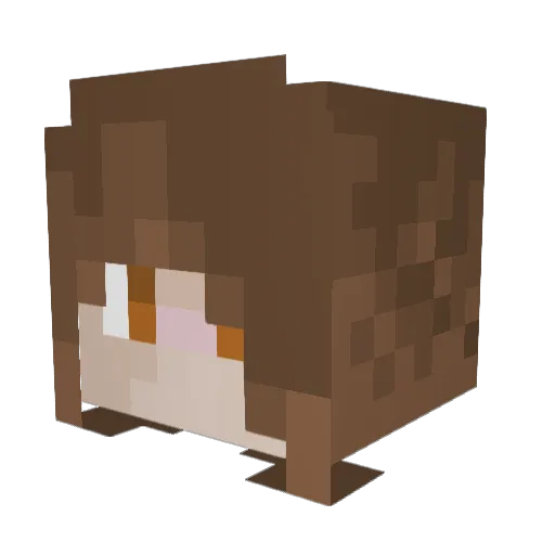 Vilmushh Minecraft avatar head, 3D render
