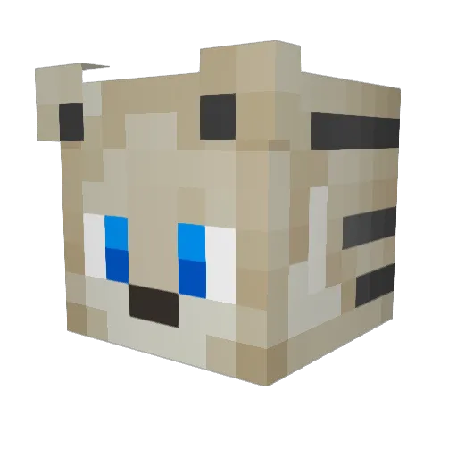 VilonYT Minecraft avatar head, 3D render