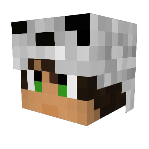 Vilqndt Minecraft avatar head, 3D render