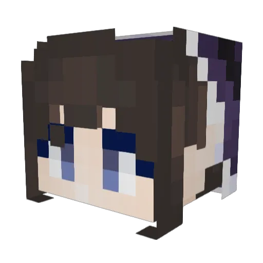 Vilquil Minecraft avatar head, 3D render
