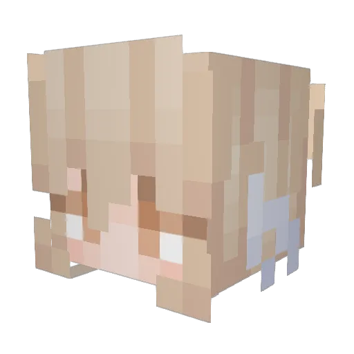 Vimeworldru Minecraft avatar head, 3D render