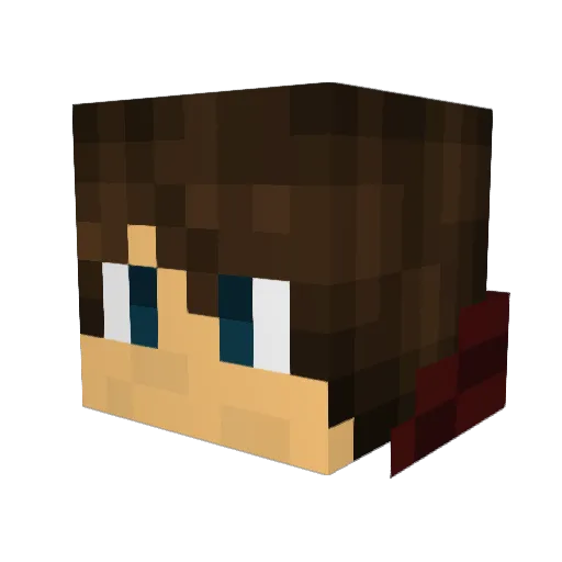 Vimli2013 Minecraft avatar head, 3D render