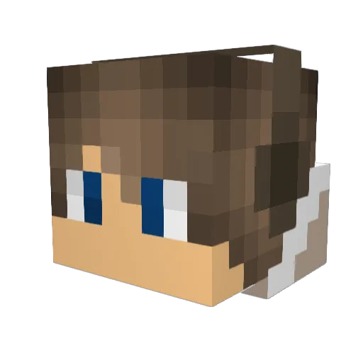 Vimpz Minecraft avatar head, 3D render
