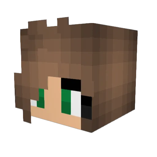 Vimselisa Minecraft avatar head, 3D render