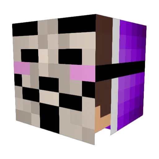 VimtoSquash Minecraft avatar head, 3D render