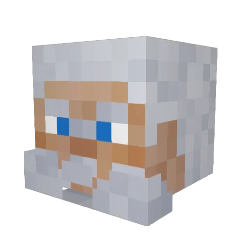 Vin123456789 Minecraft avatar head, 3D render