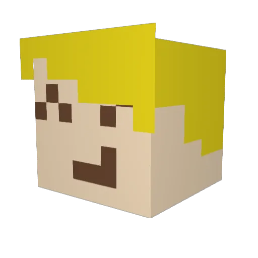 VinDaFish Minecraft avatar head, 3D render